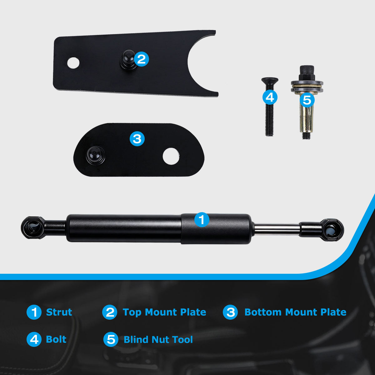Rear Tailgate Hatch Lift Supports for 2015-2022 Chevy Colorado & GMC Canyon