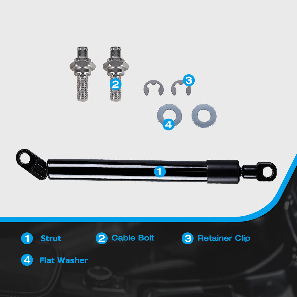 Rear Tailgate Hatch Lift Supports for 2024-2026 Toyota Tacoma