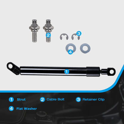 Rear Tailgate Hatch Lift Supports for 2024-2026 Toyota Tacoma