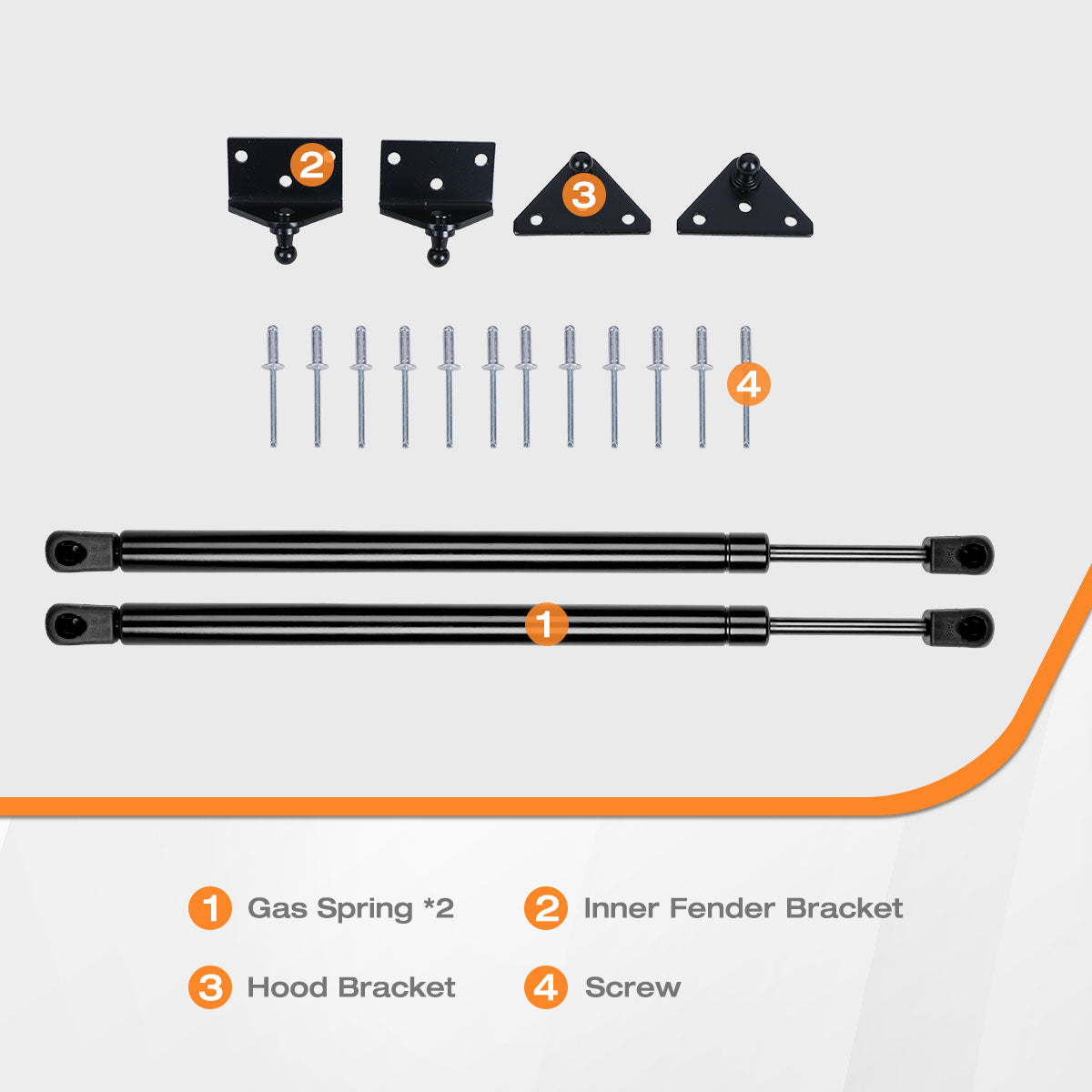 Hydraulic Hood Lift Supports for 2016-2023 Toyota Tacoma